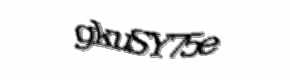 Security check image, please type the characters shown